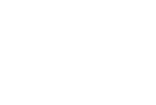 Fábio Villa Verde